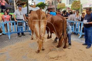 Día grande de las fiestas de Los Llanos 2018 (Foto Antonio Alí/Francisco Javier Santana, Jesús Ruiz y TA)